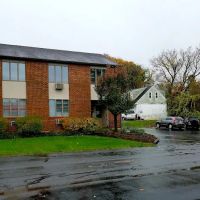 Cedar Crest Chiropractic ico