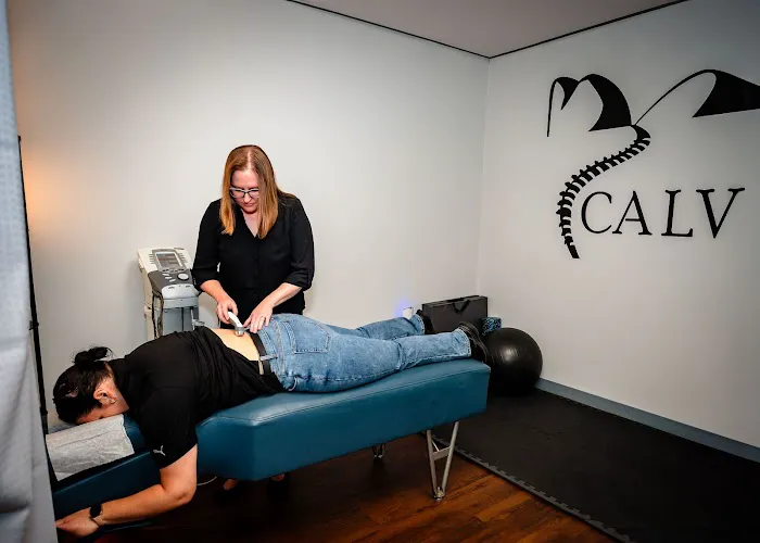 Chiropractic Associates of the Lehigh Valley - Allentown Picture 1