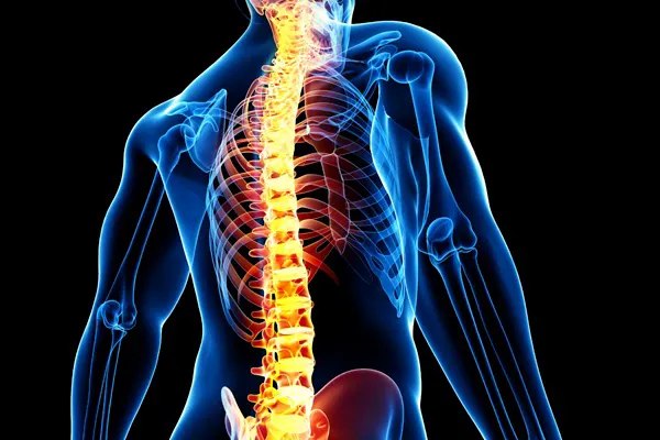 Steigerwalt Chiropractic Picture 1