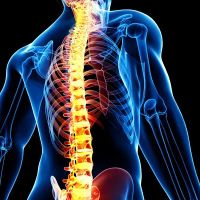 Steigerwalt Chiropractic ico