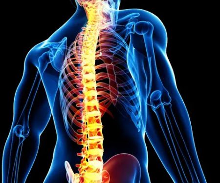 Steigerwalt Chiropractic