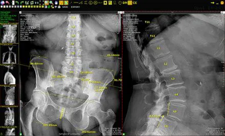 Lifeline Chiropractic, Inc. Picture 6