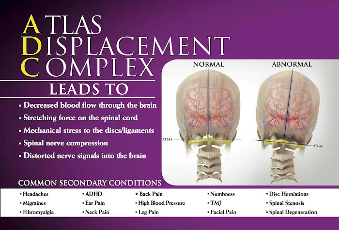 Lifeline Chiropractic, Inc. Picture 7