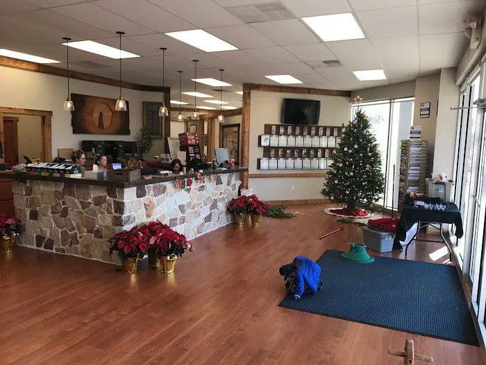 Beacon of Life Chiropractic Picture 1