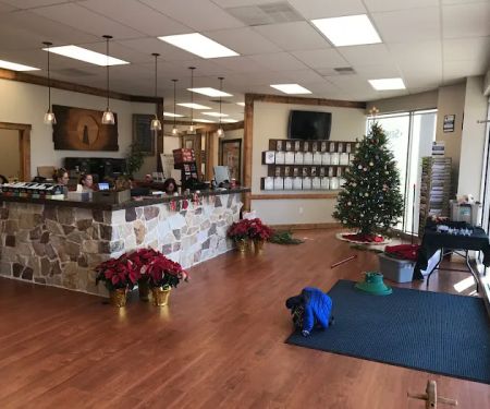 Beacon of Life Chiropractic