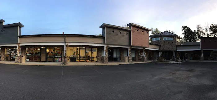 Radiant Life Chiropractic Picture 4