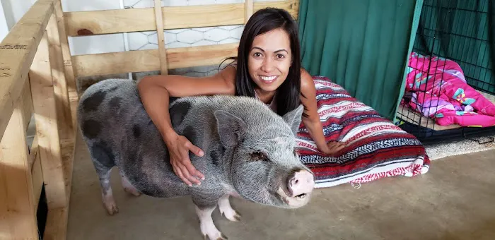 Goodman Family Chiropractic Picture 2