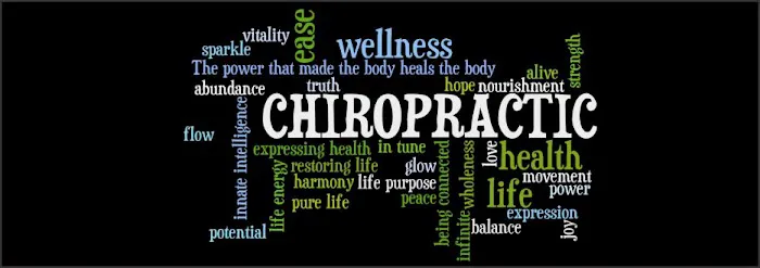 The Chiropractic Office of Dr Gina Genin Picture 2
