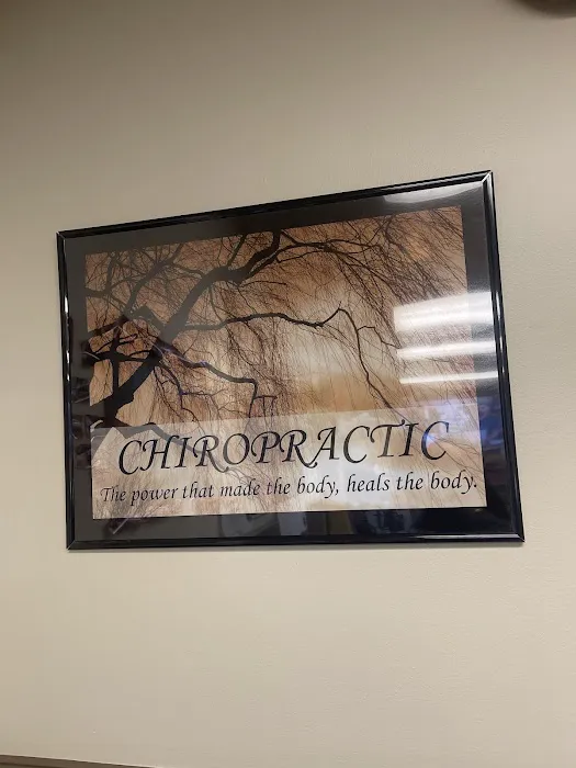 Sacco Chiropractic Picture 7
