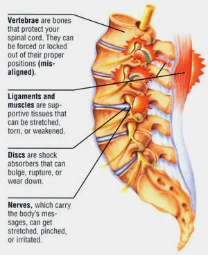 Complete Chiropractic Picture 8