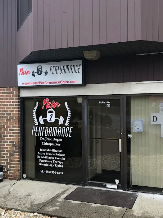 Pain 2 Performance Picture 1