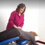 Tarlow Chiropractic & Wellness