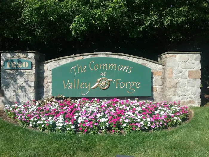 Phoenixville Chiropractic Picture 8