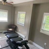 New Leaf Chiropractic ico