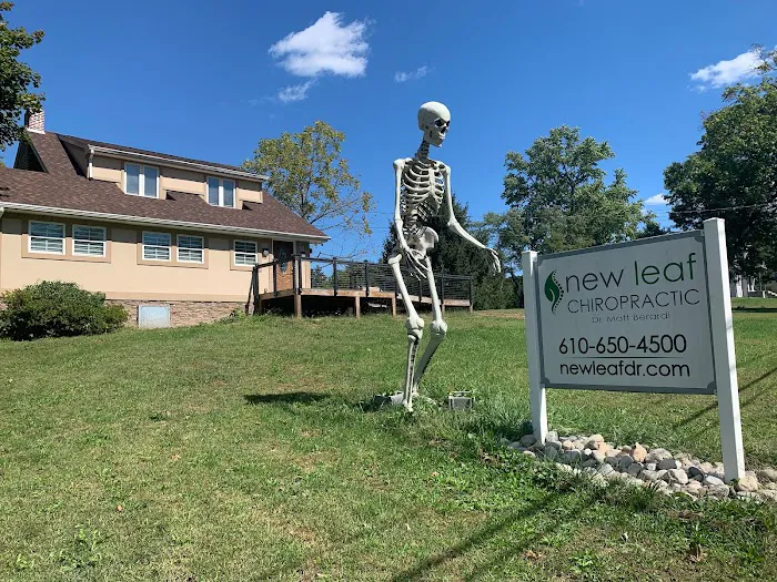 New Leaf Chiropractic Picture 4