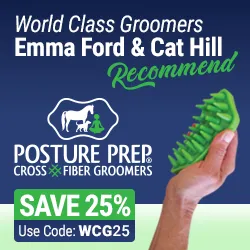 Posture Prep Picture 2