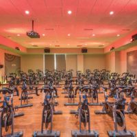 LifeClinic Chiropractic & Rehabilitation - Fort Washington, PA ico