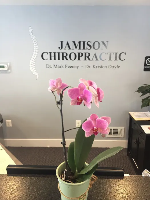 Jamison Chiropractic Center Picture 2