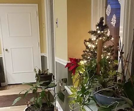 Strauss Chiropractic Center