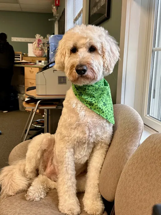 Carbondale Chiropractic Center Picture 3