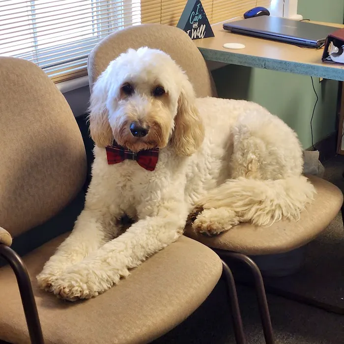 Carbondale Chiropractic Center Picture 8