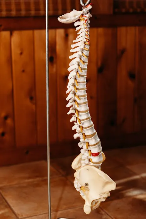Daniel Chiropractic: Dr. Josh Daniel Picture 6