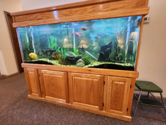 Shepherd Chiropractic Center Picture 1