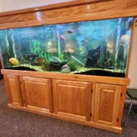 Shepherd Chiropractic Center ico