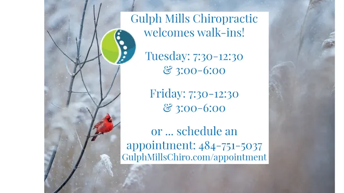 Gulph Mills Chiropractic Center Picture 8