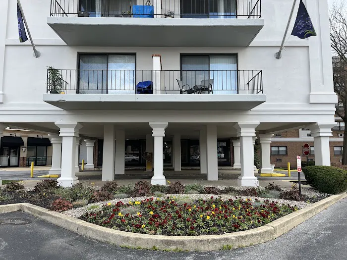 Gulph Mills Chiropractic Center Picture 5