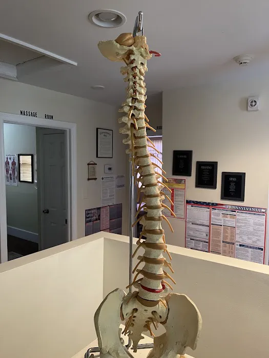 Chiropractic Care Health & Massage Center, LLC Picture 1