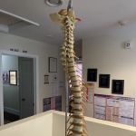 Chiropractic Care Health & Massage Center, LLC