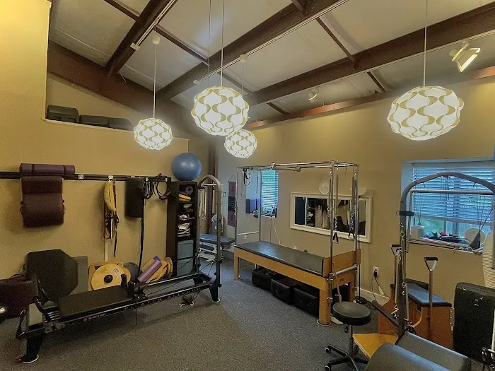 Erdenheim Chiropractic Wellness Picture 5