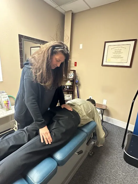 Erdenheim Chiropractic Wellness Picture 3