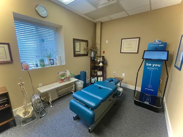 Erdenheim Chiropractic Wellness Picture 4