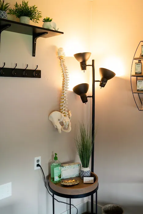 The Chiropractic Studio Picture 4