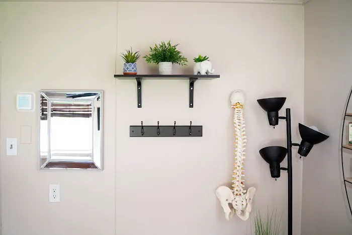 The Chiropractic Studio Picture 1