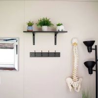The Chiropractic Studio ico
