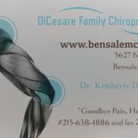 Dicesare Family Chiropractic ico
