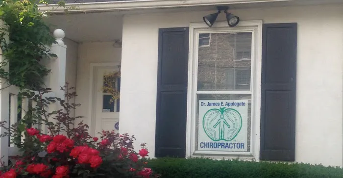 Dr Jim Applegate - Natural Choice Chiropractic Picture 3