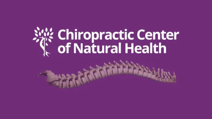 Chiropractic Center of Natural Health Care, P,C. Picture 2