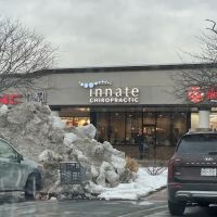 Innate Chiropractic Chester ico