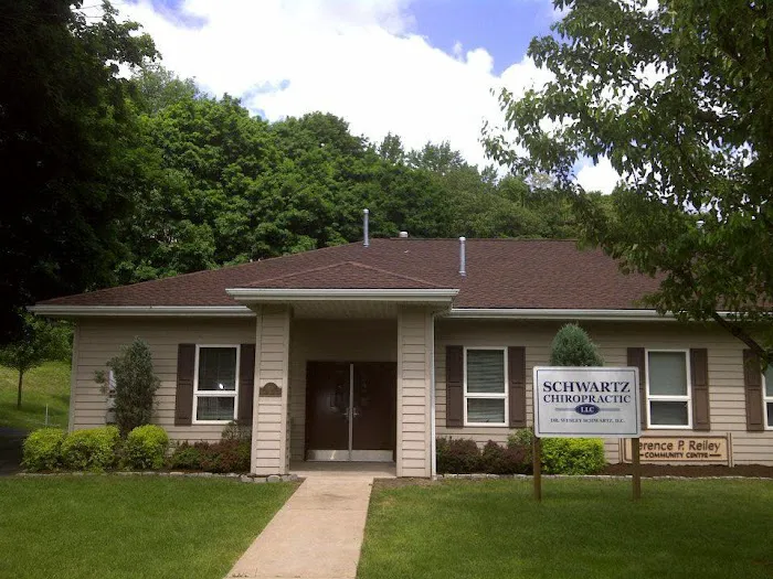 Schwartz Chiropractic LLC Picture 1