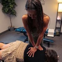 Swede Family Chiropractic ico