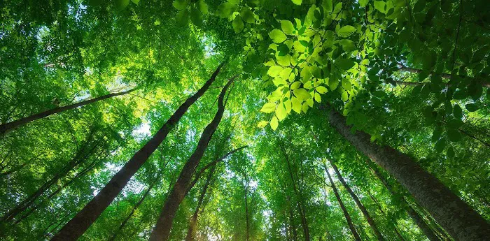 Zachary Dillow, DC: Chiropractor Picture 1