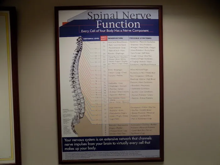 McCormick Chiropractic Picture 8