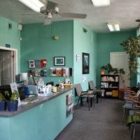 Jenkintown Chiropractic Center ico