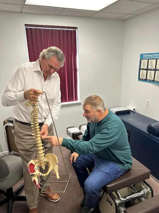 Schmetterling Chiropractic Picture 6