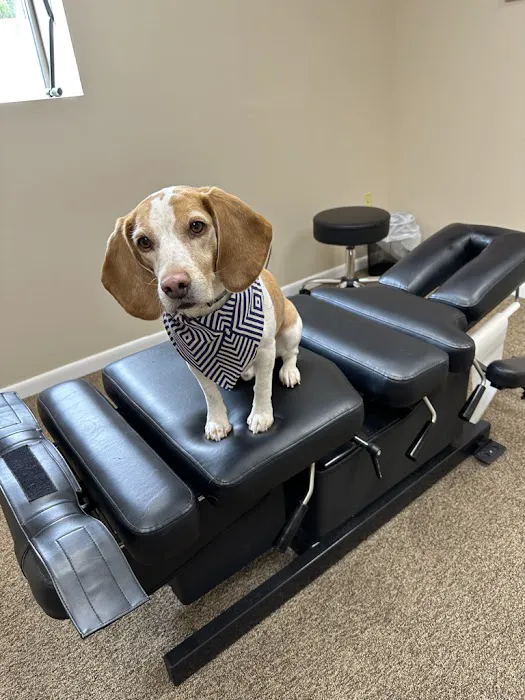 Movement Chiropractic Picture 9