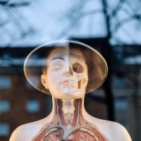 Healing Hands Chiropractic ico